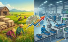 Bỏ mảng gạo, một công ty muốn rót 200 tỷ vào sản xuất pin Lithium cho thị trường Mỹ, Ấn Độ