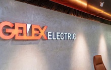 Gelex Electric chốt ngày chi gần 915 tỷ đồng tạm ứng cổ tức