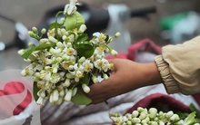 Đặc sản tháng 3 Hà Nội đã xuất hiện!