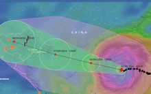 Mức độ tàn phá khốc liệt, bão Yagi bị xóa tên, thay bằng Tomo