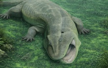 9 quái vật từ "lục địa đã mất" gây sốc cho giới khoa học