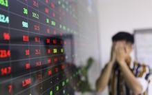 Gia đình Chủ tịch DIG vừa bị bán giải chấp gần 12 triệu cổ phiếu