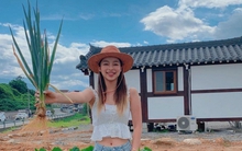 Thứ rau chợ Việt bán vài nghìn cả nắm, nấu món gì cũng thơm nhưng là "khắc tinh" của nhiều loại ung thư, "quét đường" trong máu