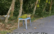 Lật tung mọi nơi chỉ miền Tây có "đặc sản" này