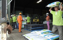 Căng thẳng Trung Đông kéo dài, giá thức ăn chăn nuôi có thể tăng 10%