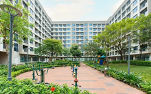 Vì sao doanh nghiệp kêu khó khi xét duyệt hồ sơ mua nhà ở xã hội?