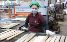 TP Hồ Chí Minh: 22% doanh nghiệp chế xuất điều chỉnh sản xuất nhằm giảm tác động chi phí nhiên liệu