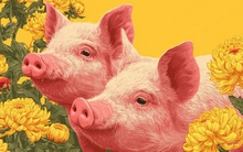 4 con giáp sắp đón tin vui từ tháng 2 Âm lịch: Sự nghiệp thăng tiến, tiền tài như ý, dễ đạt đỉnh cao vận may