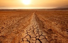 Vietcap: El Nino "tái xuất" sau tháng 8, lộ diện những mã cổ phiếu tiềm năng