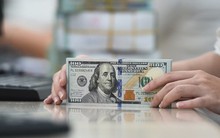 Giá USD tự do tăng mạnh 300 đồng, NHNN hút về lượng lớn VND trong tuần qua