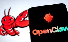 Cơn sốt “nuôi tôm” lan khắp Trung Quốc nhưng cảnh báo an ninh mạng cho thấy nhiều rủi ro đáng lo