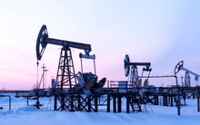 Dầu Nga đón kỷ lục vui chưa từng có