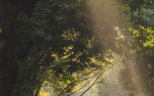 Không phải Đà Nẵng hay Phú Quốc, đây mới là địa phương Việt Nam lọt Top thành phố tốt nhất thế giới 2026 do quốc tế bình chọn