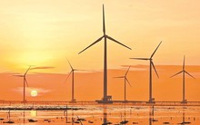 Rủi ro pháp lý và tài chính với EVN trước nguy cơ bị nhà đầu tư năng lượng tái tạo khởi kiện quốc tế