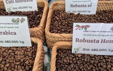 Giá cà phê hôm nay 18-3: Arabica – Robusta đồng loạt tăng, tín hiệu đảo chiều rõ nét