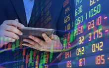 23 nhà đầu tư muốn tham gia đợt chào bán cổ phần Interserco