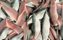 10 loại cá bình dân nhưng bổ ngang cá hồi, ra chợ là mua được