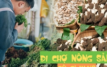 Bỏ qua những tour đắt đỏ, khách Việt đi Vân Nam giờ chuộng mốt "bám đuôi" đầu bếp ra chợ nông sản mua hoa về... xào thịt