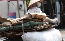 Thu mua phế liệu bìa carton có doanh thu trên 3 tỷ đồng, thiếu hóa đơn đầu vào phải xử lý ra sao? Cơ quan Thuế giải đáp