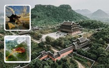 1 điểm đến từng thu 40 tỷ đồng/năm đang mở cửa miễn phí cho toàn bộ người dân Việt Nam: Rộng 9.295 ha, mới được UNESCO ghi danh