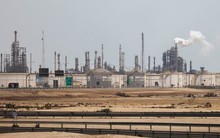 Không phải đất hiếm, Việt Nam sở hữu kho báu 50 tỷ tấn, cả châu Á đang quay lại săn tìm khi giá dầu tăng phi mã