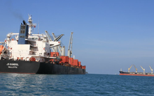 Việt Nam đón tin cực vui từ Nga và Israel