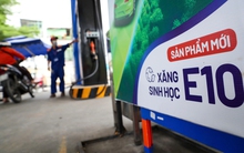 Thủ tướng yêu cầu chuyển đổi sang nhiên liệu sinh học E10 trong tháng 4