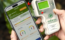 AI không còn để thử cho vui: 4 ứng dụng AI Việt phục vụ công việc từ làm web đến trồng trọt