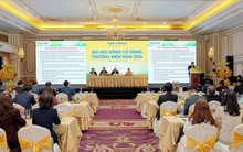 ĐHCĐ Nam A Bank 2026: Bầu HĐQT và BKS nhiệm kỳ mới; chốt phương án chia cổ tức cao và thành lập ngân hàng thành viên 100% vốn trong nước