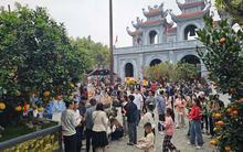 Cảnh báo đặc biệt về một khu di tích nhiều người đến ở Hải Phòng