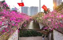 Hoa giấy phủ kín cầu Thủy Tiên, khung cảnh như 'xứ sở thần tiên'