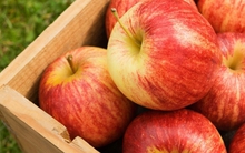 "Nuôi dạ dày chính là nuôi dưỡng sự sống": 5 loại thực phẩm "yêu thích" của niêm mạc dạ dày, nên ăn mỗi ngày, đừng tiếc!