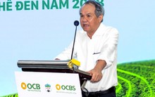 Kỳ lạ: Bầu Đức làm cụm công nghiệp nhưng không cho thuê, không bán nền