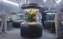 Khu vườn trên Sao Hỏa: Triển vọng về hệ thống canh tác khép kín