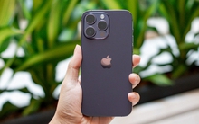 Chiếc iPhone cũ đang giảm giá chạm đáy ngay lúc này