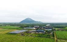 Công ty hạt nhân Tập đoàn TTC đăng ký bán ra hơn 43 triệu cổ phiếu SBT