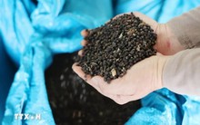 Việt Nam đón tin cực vui từ Thái Lan