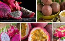 Chanh leo và thanh long Việt Nam đối diện nguy cơ bị EU siết chặt kiểm soát