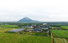 Công ty hạt nhân Tập đoàn TTC đăng ký bán ra hơn 43 triệu cổ phiếu SBT