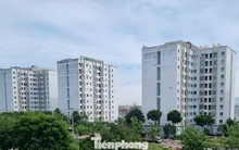 Đà Nẵng dự kiến cho thuê nhà ở xã hội thấp nhất gần 54.000 đồng/m²/tháng