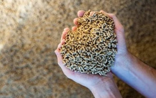 Căng thẳng Trung Đông: Trung Quốc gặp khó với một ngành công nghiệp đang dẫn đầu thế giới