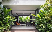 3 loại cây đừng trồng trước hiên nhà: Dễ mang vận xui và hao tài