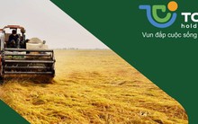 TCO Holdings muốn đầu tư vào Pacific Lines