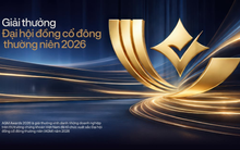 AGM AWARDS 2026: Từ sự kiện được trông ngóng của Warren Buffett đến cuộc đua minh bạch của doanh nghiệp Việt