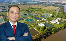 Vinhomes bắt tay công ty riêng của tỷ phú Phạm Nhật Vượng làm đại đô thị hơn 90.000 tỷ tại tỉnh sát vách với TPHCM