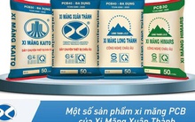 Xi măng Xuân Thành mua lại một phần trái phiếu trước hạn