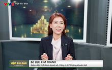 Đừng “bỏ trứng vào một giỏ”, chuyên gia mách nước chiến lược phân bổ hiệu quả khi các kênh tài sản lên xuống mạnh