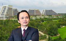 Dự án 20.000 tỷ của Tập đoàn FLC đón tin vui ngay tại dịp đặc biệt