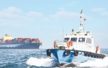 Tàu biển mang cờ Việt Nam được giảm phí vận tải