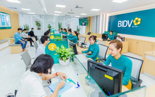 Quỹ lâu đời mạnh tay mua hơn 87 triệu cổ phiếu ngân hàng có tổng tài sản lớn nhất Việt Nam